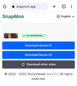 SnapMon server to save Lemon8 videos and photos